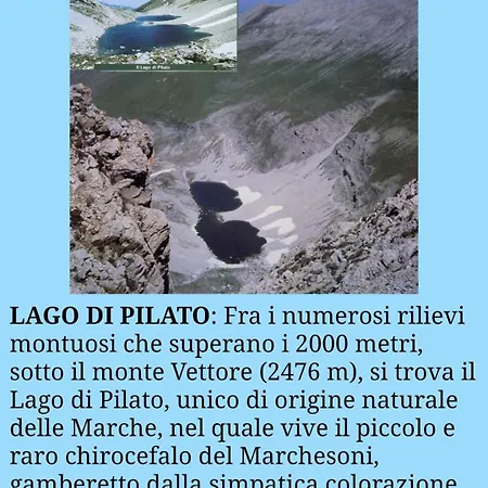 Casa Elsa * Montefortino